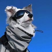 GatsbyZhao的个人资料头像