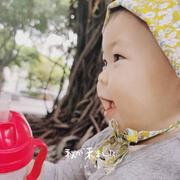 z的个人资料头像