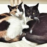 尾生君的个人资料头像