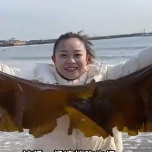 小章要赶海头像