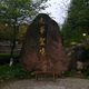 辉哥43819676头像