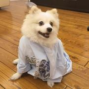 作业君小超的个人资料头像