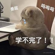 沉辞览调的个人资料头像