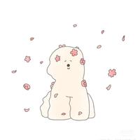 用户4450352727214头像