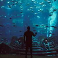 二六一十八877头像