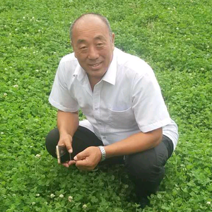 江华零食头像