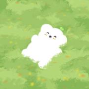 ccly的个人资料头像