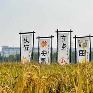 小蔡宝贝666头像