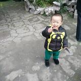 一切随缘3776520009318头像