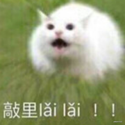 用户5243894420548的个人资料头像