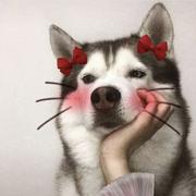 001小刘的个人资料头像