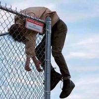 会飛白勺魚208头像