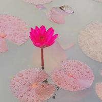 守候一世情头像