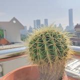 行者孤独一溅头像