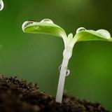 草草生涯头像