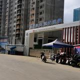 鑫头像