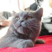 刘泽伟的个人资料头像