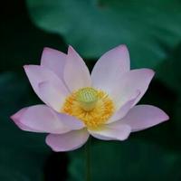 真阳光明媚头像