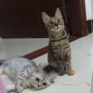 奥特曼爱打小怪兽的个人资料头像