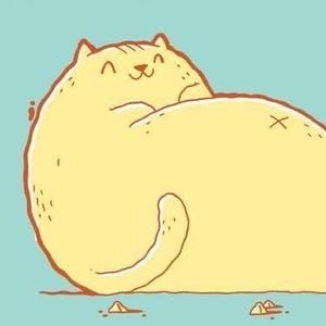 DNF肥猫头像