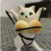 塔斯马尼亚袋鼠的个人资料头像