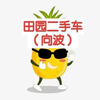 向波o菠萝收车头像