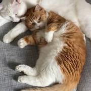 林二汶的个人资料头像