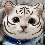 多多285的个人资料头像