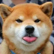 youngccq的个人资料头像