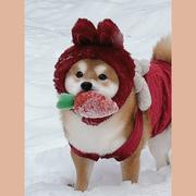 Panda758的个人资料头像