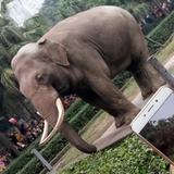 草62030头像