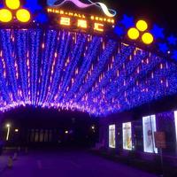 自强不息旭日Wf头像