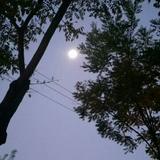 用户5162931805344头像