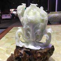 亲切海洋C1头像