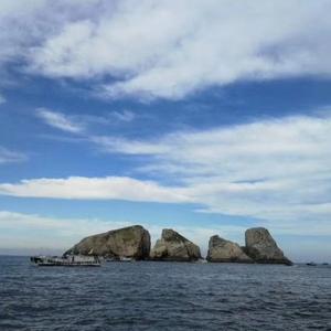 石浦阿进海钓头像