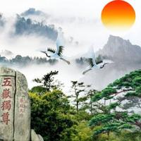 星星照我心5头像