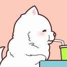 瑞星的个人资料头像