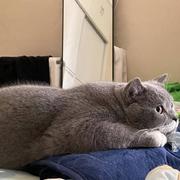 触碰阳光759的个人资料头像