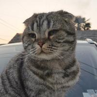 东哥198260447头像