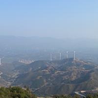 清闲的小鱼U头像