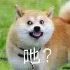 Year_Liu的个人资料头像