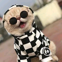 疯子猫少头像