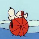 锐不想说话的个人资料头像