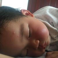 智慧布莱克3b5头像