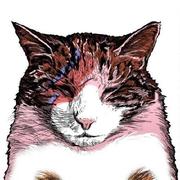 Miot的个人资料头像