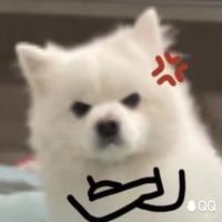 xxjs233头像