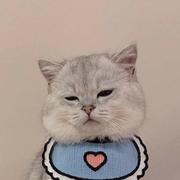 用户9037625138447的个人资料头像