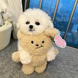 爱吃蘑菇的阿黎头像