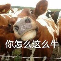 暗夜行路碰破头头像