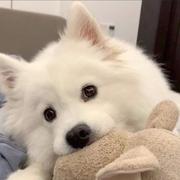 cood1b的个人资料头像